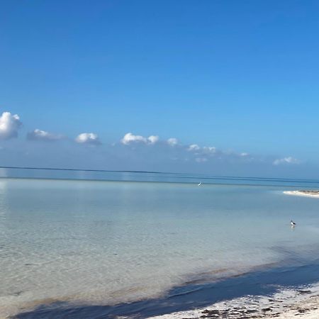 Barco Verde Hostel Isla Holbox Luaran gambar