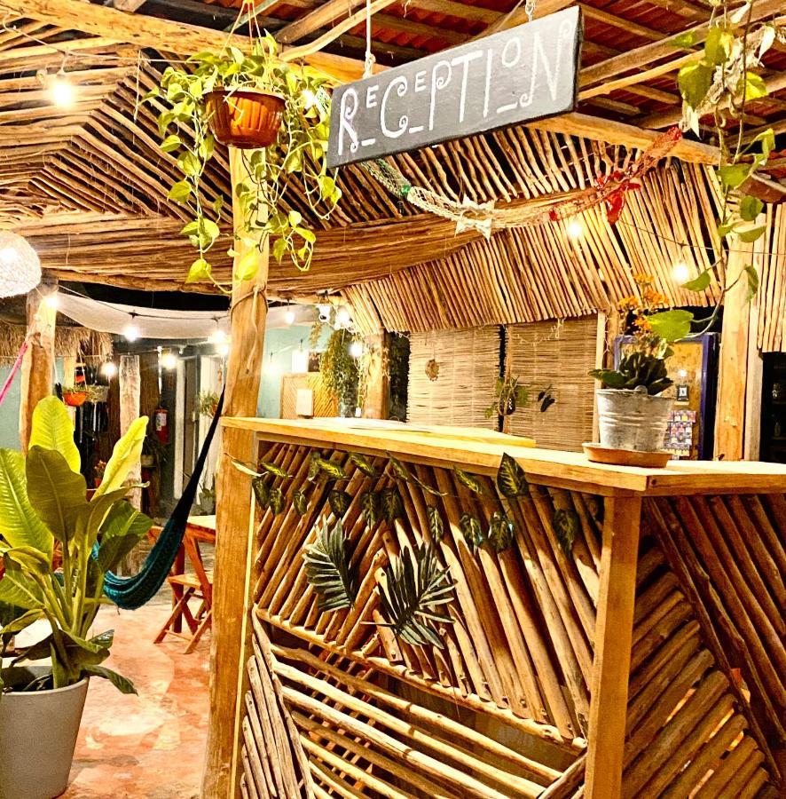 Barco Verde Hostel Isla Holbox Luaran gambar