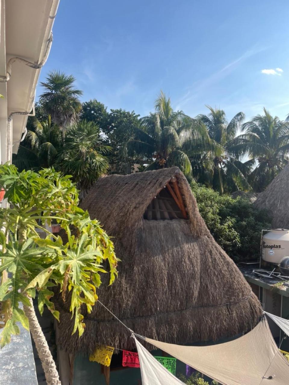 Barco Verde Hostel Isla Holbox Luaran gambar