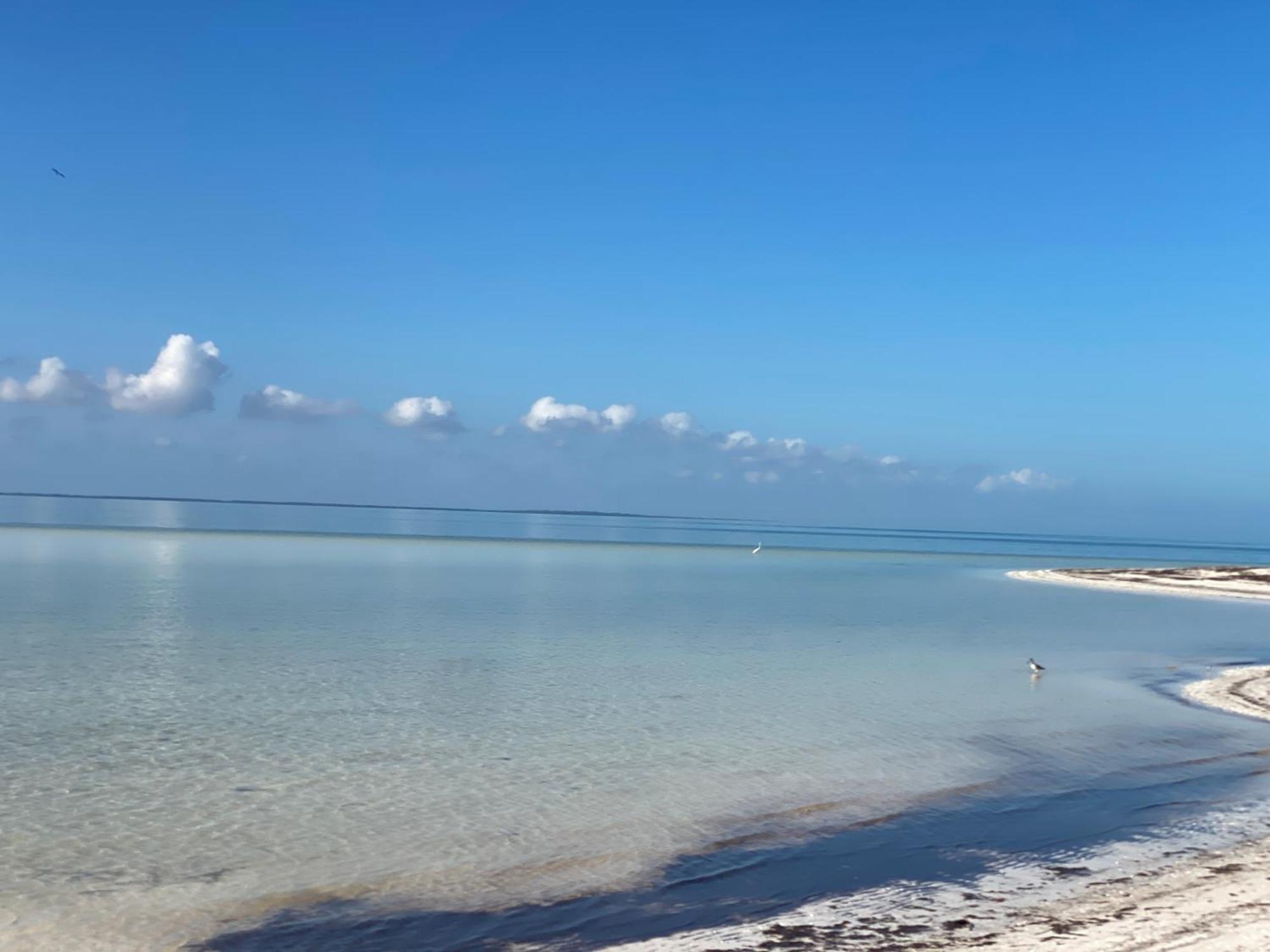 Barco Verde Hostel Isla Holbox Luaran gambar