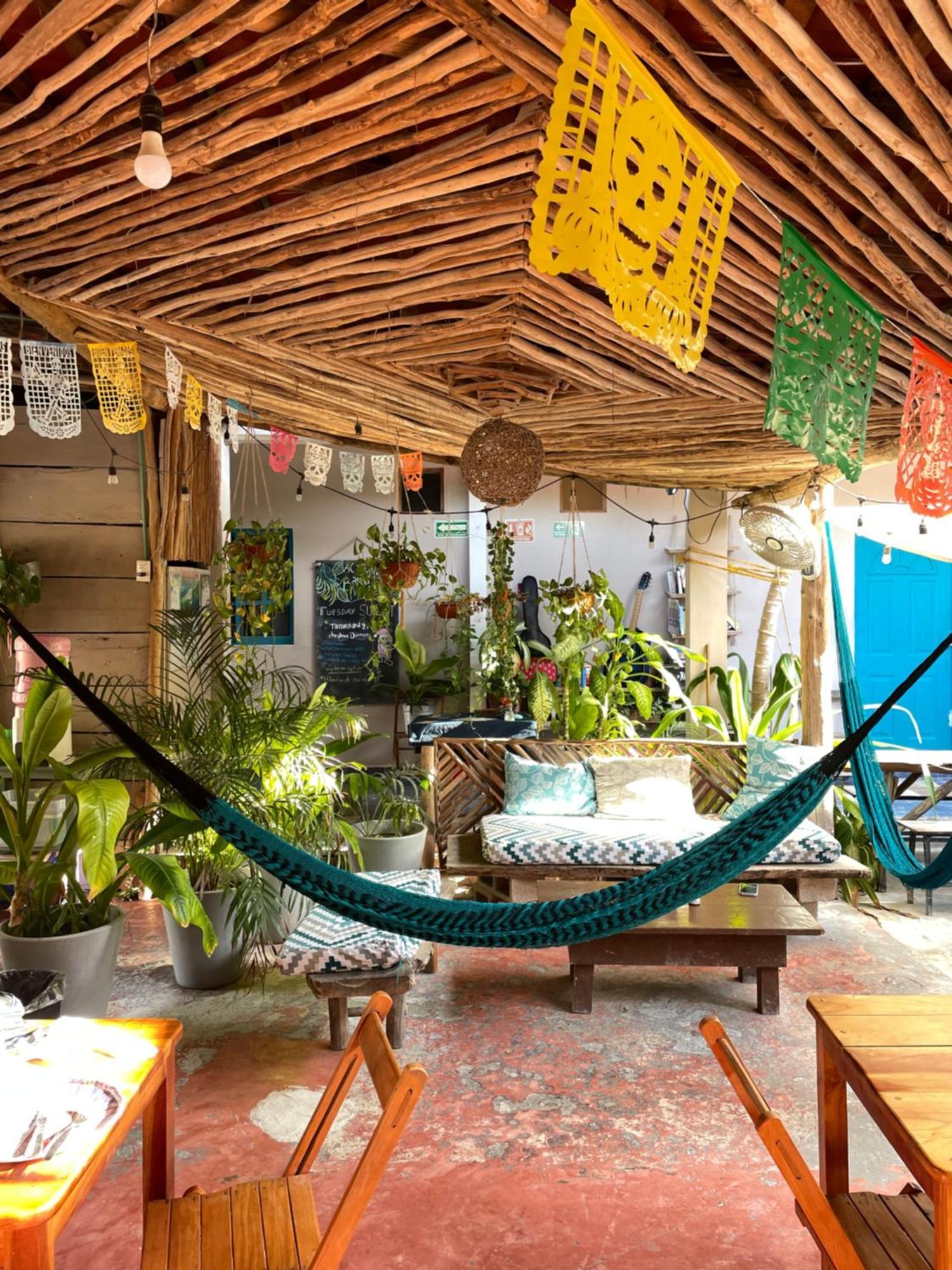 Barco Verde Hostel Isla Holbox Luaran gambar